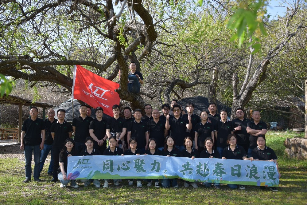同心聚力，共赴春日浪漫
